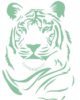 tiger tiger